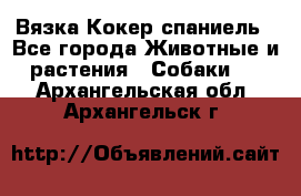 Вязка Кокер спаниель - Все города Животные и растения » Собаки   . Архангельская обл.,Архангельск г.